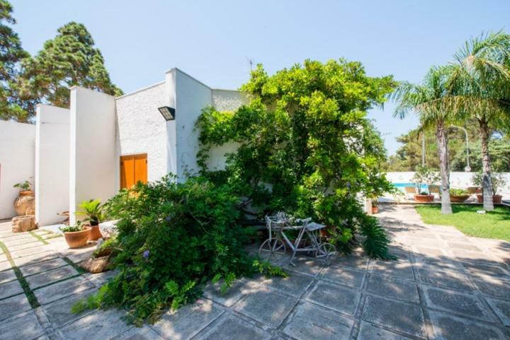 Villa Cancelliere San Vito Lo Capo Exterior photo
